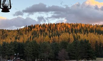 310 Rocky Woods Ln, Bigfork, MT 59911