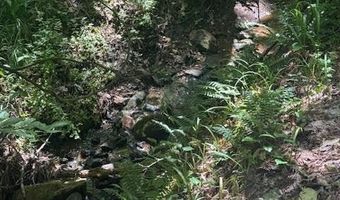 0- Lot 5 Piney Mountain Rd, Appomattox, VA 24522