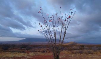 59-004 N W Luna Nueva Rd, Bisbee, AZ 85603