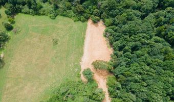 1717 County Road 1579, Baileyton, AL 35019