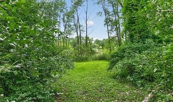 425 Courtney Rd, Addison Twp., MI 48367