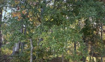 1005 Luannes Way, Alexander City, AL 35010