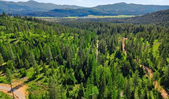 NNA Stone Rd Lot 2 20.0 Acres, Blanchard, ID 83804