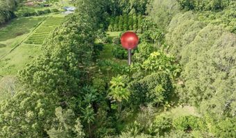 29-509 CHIN CHUCK Rd, Hakalau, HI 96710