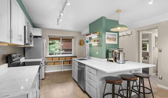 950 VINE St, Aspen, CO 81611