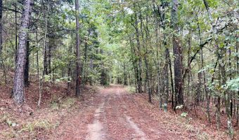 373 Spring Hill Rd, Duck Hill, MS 38925