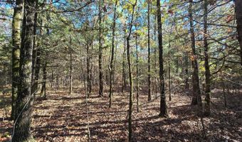 TBD Raw Land, Bates, AR 74953
