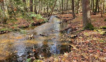 Alden Meadows lot 42, Alden, MI 49612
