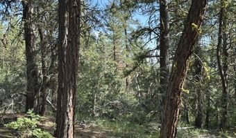 Sandpiper Ln, Beatty, OR 97621