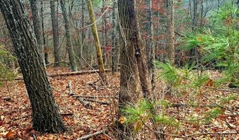 SPITZ Lane, Basye, VA 22810