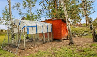 331 Bluebird Ln, Bailey, CO 80421