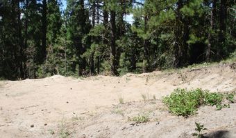 464 Collier View Rd Lot 91, Cascade, ID 83611