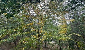 404 SPITZ Lane Unit 88 A & B 88 A & B, Basye, VA 22810