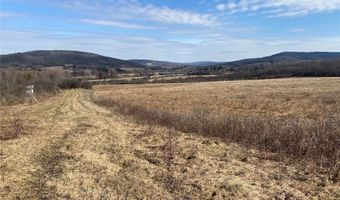 4005 Cr-2, Angelica, NY 14709