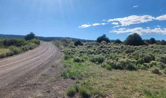 Conejos River Trails lot 11, Antonito, CO 81120