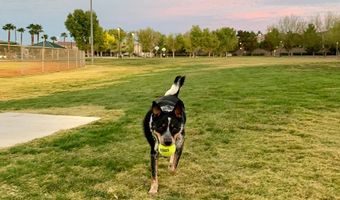 143 CHAPMAN BEND Ave, Henderson, NV 89015