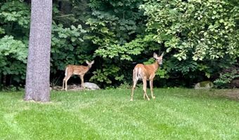 43 Darling Parke Dr, Bangor, ME 04401