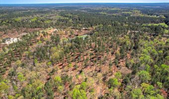 6355 Cobbham Rd Lot 17, Appling, GA 30802