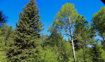 TBD County Road 59, Allenspark, CO 80510