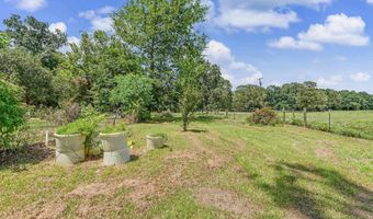 1297 Hwy 234, Ashdown, AR 71854