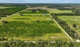 Lot 1 50th Ave, Bell, FL 32619