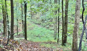 Jesse Run Rd, Arnoldsburg, WV 25234