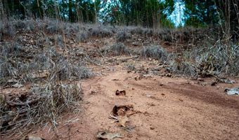 Tract 4 Acme RD, Asher, OK 74826