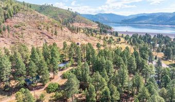 57 Pine Dr, Bayfield, CO 81122