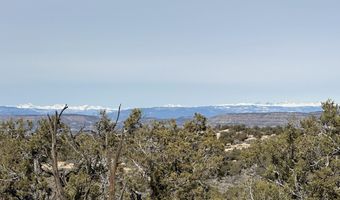 County Road 2550, Aztec, NM 87410