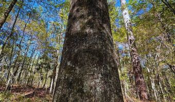 0 Hwy 8, Aberdeen, MS 39730