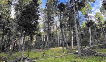 Lot 1283 Via del Rey, Angel Fire, NM 87710