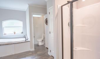 23706 E U.S. 160, Alton, MO 65606