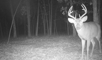 0 Progress Road Rd, Beaumont, MS 39423