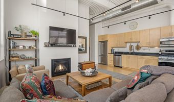 361 Robinson St 308, Basalt, CO 81621