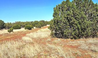 20 CO Rd, Concho, AZ 85924