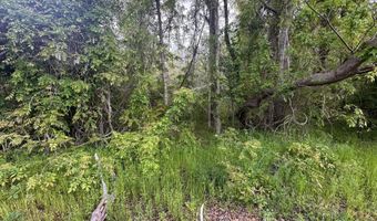 Tract 5 Smith Lane, Bowman, SC 29018