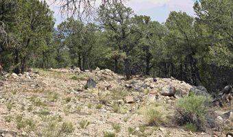 Lobo Ranch Road, Arroyo Hondo, NM 87513