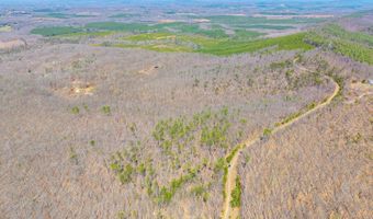 Larkin Mountain, Amherst, VA 24521