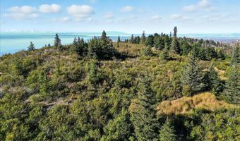 19600 Miller Dr, Anchorage, AK 99516