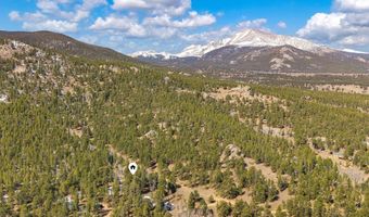 251 Haugen Slide Rd, Allenspark, CO 80510