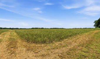 421 Chambers Creek Trl, Alvarado, TX 76009