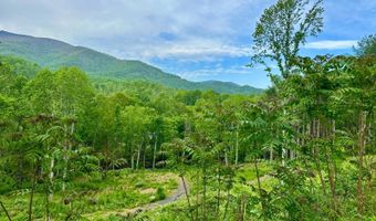Pumpkin Patch Road, Bakersville, NC 28705