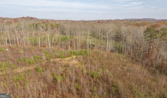 Apple Pie Ridge unit Tract Two Tract Two, Alto, GA 30510