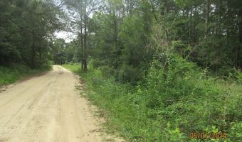 7275 Beulah Ln, Baconton, GA 31716