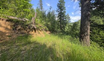 480 Dunn Peak Rd, Avery, ID 83802