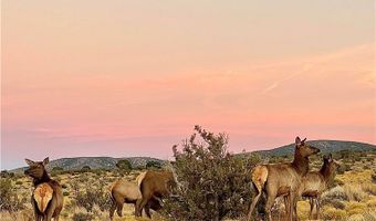 150 Wind Drift Pl, Cold Creek, NV 89124