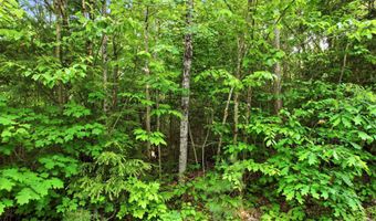 Porter Road, Bath, NH 03740