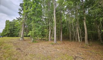 6549 N Highway 17, Awendaw, SC 29429