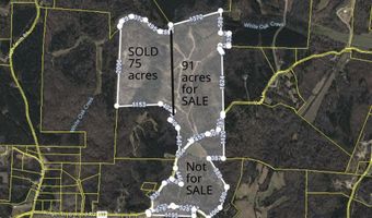 Vista Lane, Bethel Springs, TN 38315
