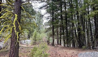 Tbd Hilltop Road 43 & 44, Cascade, ID 83611